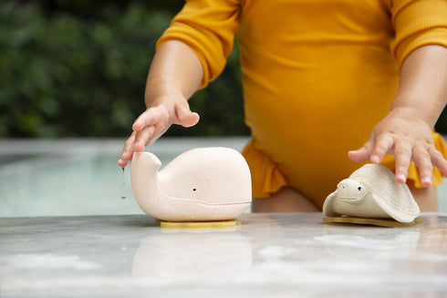 Vannimänguasjade komplekt, ümbertöödeldud