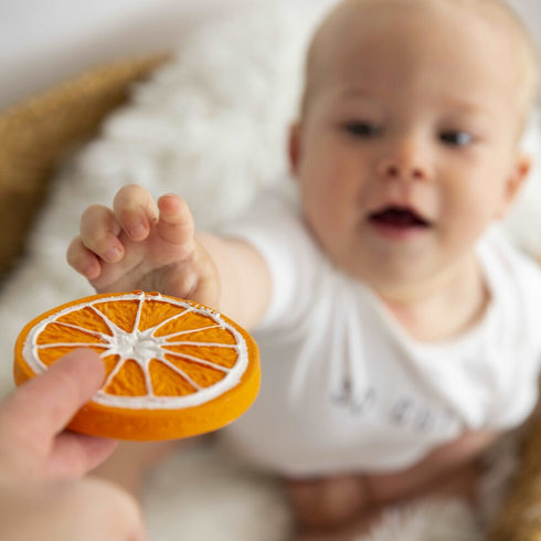 Clementino the Orange Chew/Bath Toy