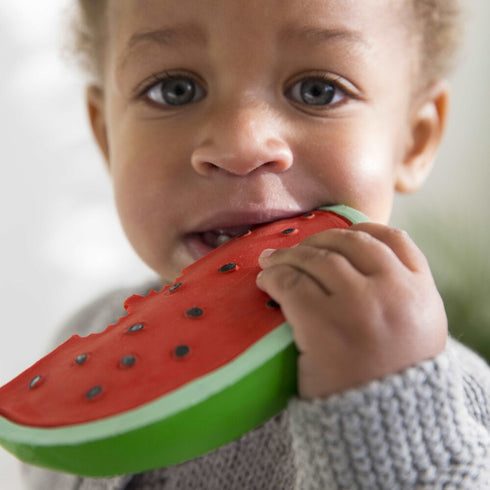 Wally the Watermelon Chew Toy, Oli&Carol
