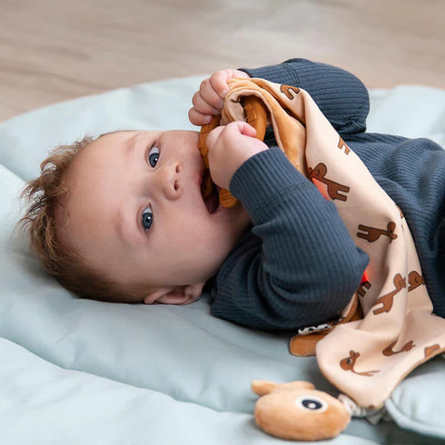 Sleep rag with a chew toy, Raffi
