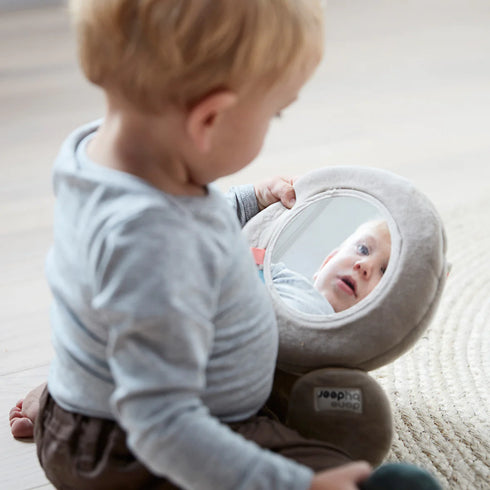 Hide & Seek Mountain Activity toy, lalee