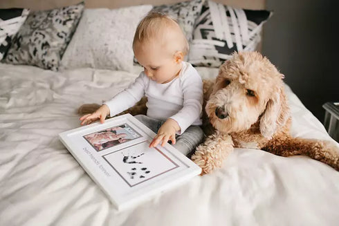 Best Friends Forever Ink Pad ja pildiraam