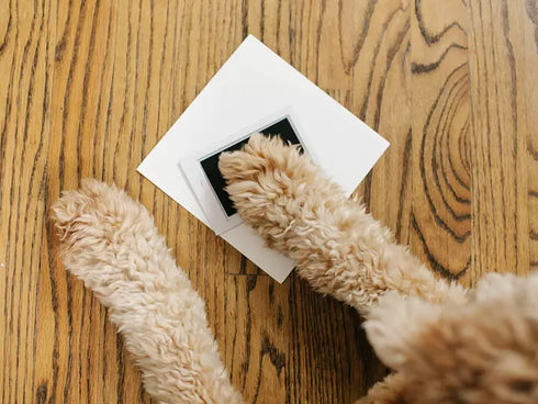 Best Friends Forever Ink Pad ja pildiraam