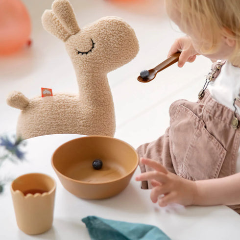 Kiddish esimese söögikorra komplekt