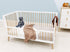 Lines Cot/sofa bed convertible set 70x140 cm